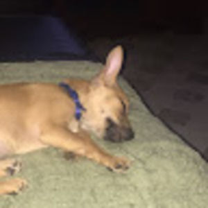 Meet your Posher, Miguel